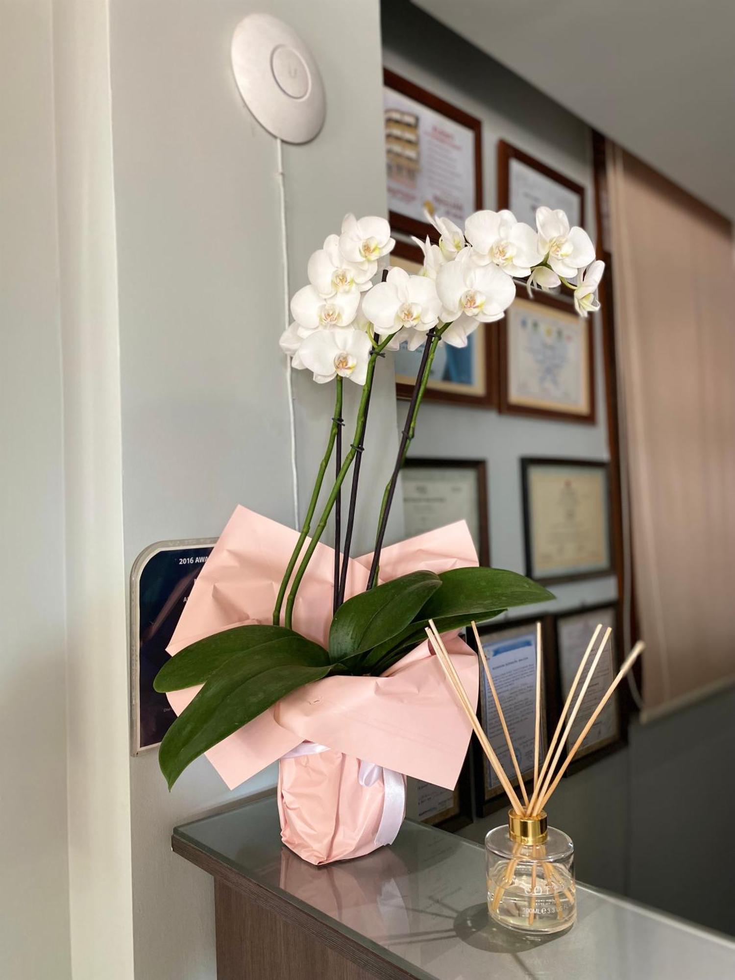 Hotel Bojko Vlore Ngoại thất bức ảnh